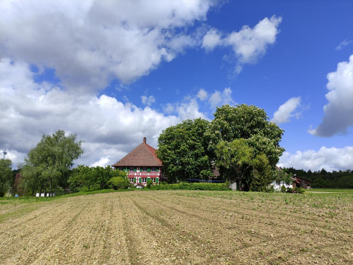Hofgut Breitenbach Markdorf Kültér fotó