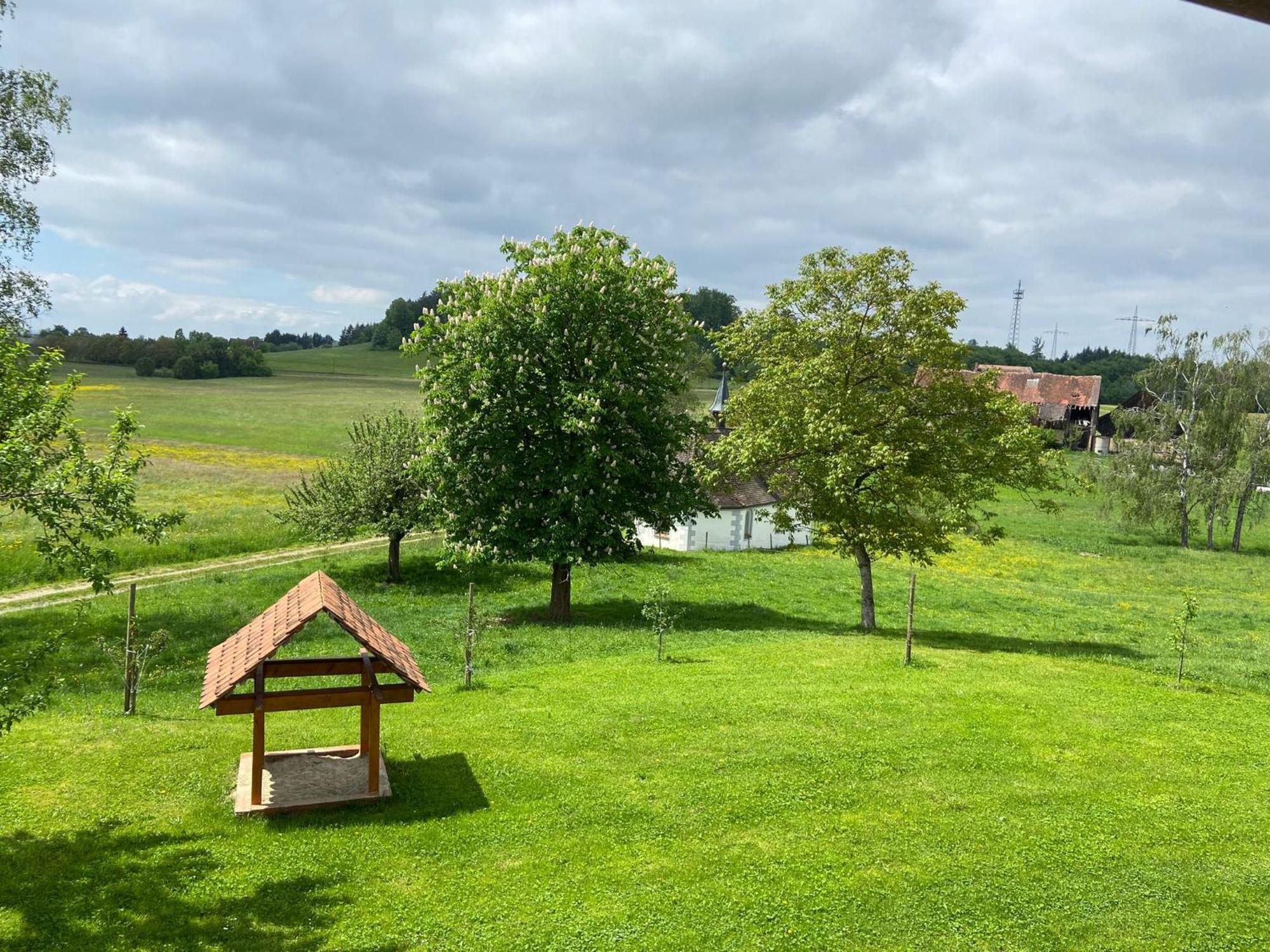 Hofgut Breitenbach Markdorf Kültér fotó